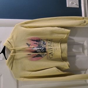 Cropped Hollister Hoodie